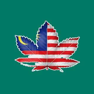️️ Cannabis Culture In Malaysia 🇲🇾️
