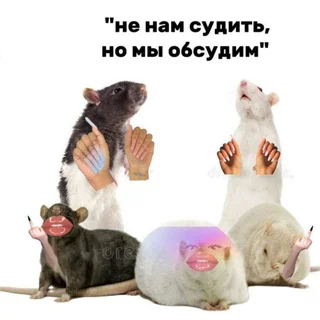 HumanPeople