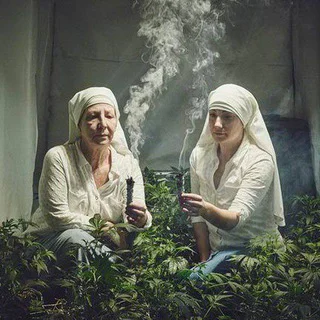 THAIMARKET420
