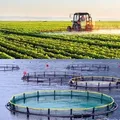 柬🇰🇭农业&渔业讨论群 Kh🇰🇭Agro&Aqua Group