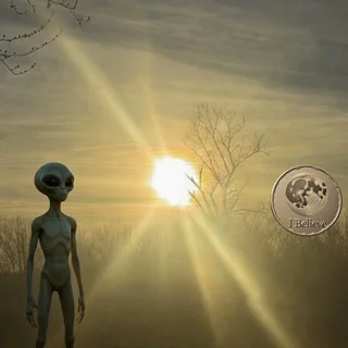 Alien in my backyard