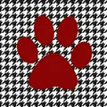 Alabama Fur Group