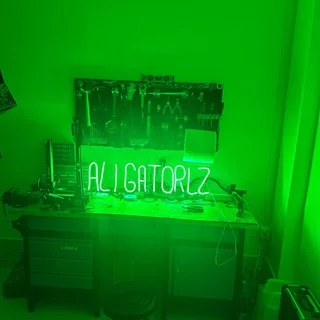 Aligator- bolt - wolt - foodora