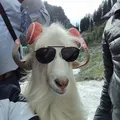 Film by kartikey