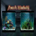 Аква Шабаш Чат
