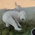 Бедлингтон Терьер питомник Хоф Хольноф и друзья