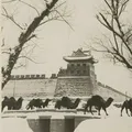 北京同城
