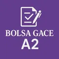 Bolsa GACE 🟣
