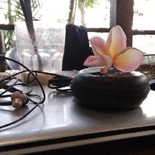 Genei Ryodan