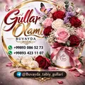 GULLAR OLAMI BUVAYDA 🌺🌸🌹🌷