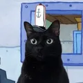 Cat Memes Chat