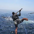 Cazadores de ballenas Cripto