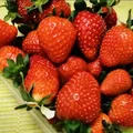 🍓СИТИФЕРМЕРЫ_3000