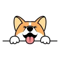 [EN] Corgidoge Official - Binance smartchain