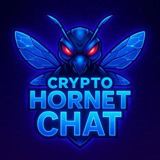 HORNET CHAT🐝