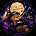 Crypto Merch Online Chat for NAP Bear Coin