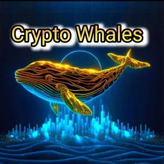 community (🐋الحيتان)