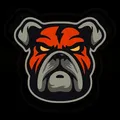 $DDOG | Chat