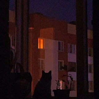 группа общение ♥ ОБЩЕНИЕ ЛП ЛД