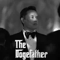 Dogefather | Meme