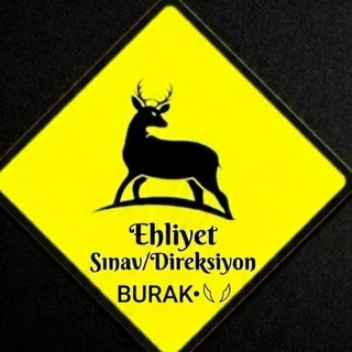 EHLİYET Sınav/Direksiyon