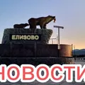 Елизово 41регион Новости!! Объявления