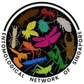 ENSING (Ento Network of SG)