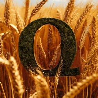 ФЕРМАЛОГИЯ CS2 🌾 Chat
