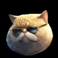 FatCat Coin Chat 😸🫶🚀🐾🌖