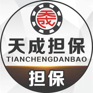 天成担保—支付资源群
