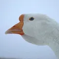 Goose Token RU