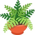 Зелёный маркет | комнатные растения куплю продам Россия 🪴