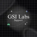 GSI Labs Support