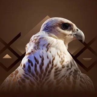 زاد الـرمــاي