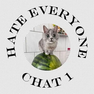 H8E1_chat01