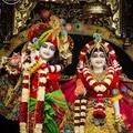 Hare Krishna Devotees