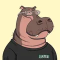 HippoClub中文社区