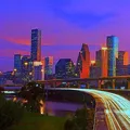 Houston Metro Fur Meets SFW