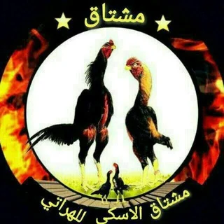 DAKAN BOZOR...