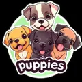 $PUPPIES - I Love Puppies