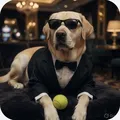 James Bond Dog 🎯🎯🔫 🐶