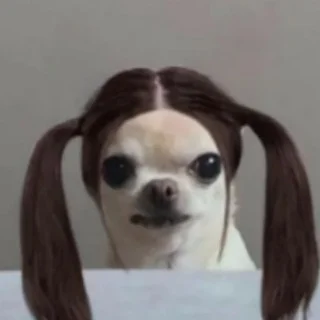 zi존파워짱짱잼민챗