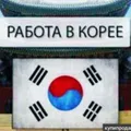 🇰🇷Работа в Корее.🇰🇷Поиск и предложения.