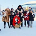 Джек рассел терьер