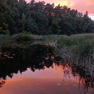 Чат ✨ЗАРОБИ🪙ЛАЙТОВО✨ 💸💳💸💳💸💳💸