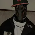 Memesta - official dog house