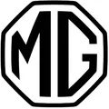 MG ZS Italian Fan