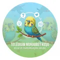 Muhabbet Kuşu Yardımlaşma
