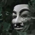 *FREE BUNDLE & VPN*