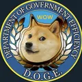 Department Of Government Efficiency C.T.O.